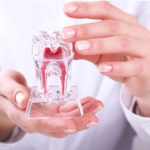 予防歯科と生涯医療費