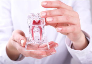 歯周病の薬物療法（予防）